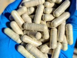mushroom Microdos capsules