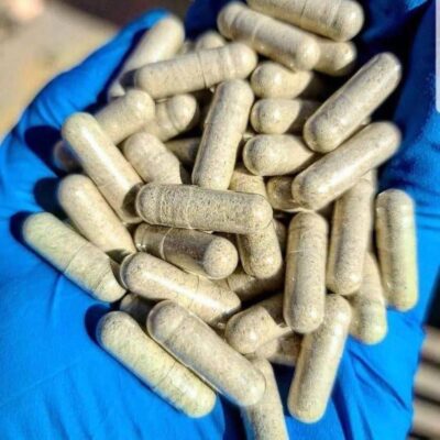 mushroom Microdos capsules