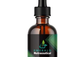 mushroom immune blend